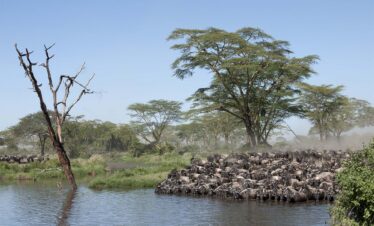 18 Days Tanzania Safari & Zanzibar Vacation