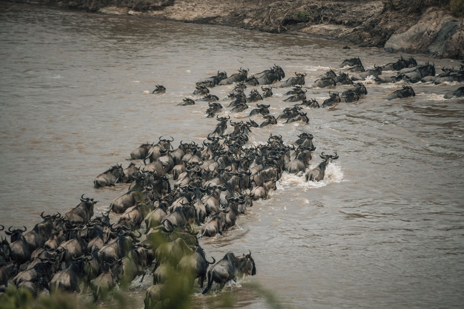 8-days-wildebeest-migration-river-crossing-safari_gDnQu