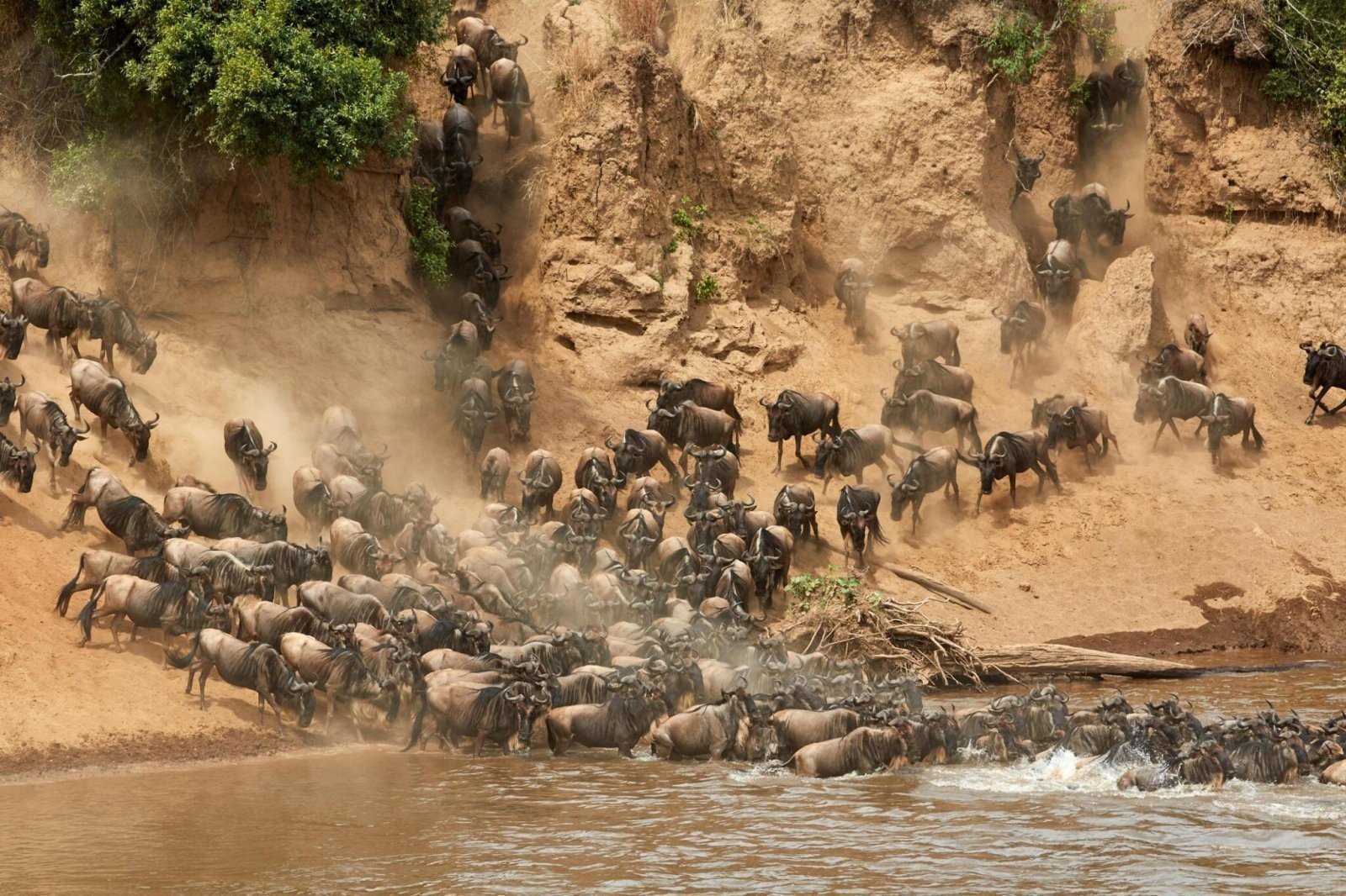 9-days-serengeti-wildebeest-migration-safari-in-tanzania_YoguC