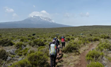 7 Day Kilimanjaro Climb – Lemosho Route (High Success Rate)