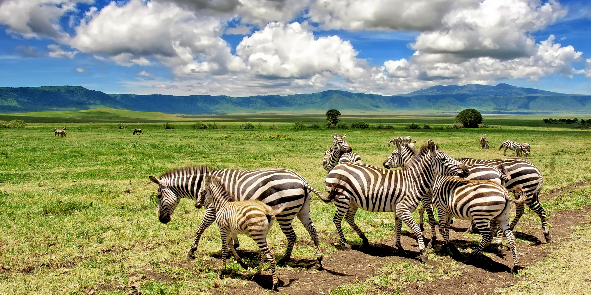 tanzanias-famous-northern-circuit-safari
